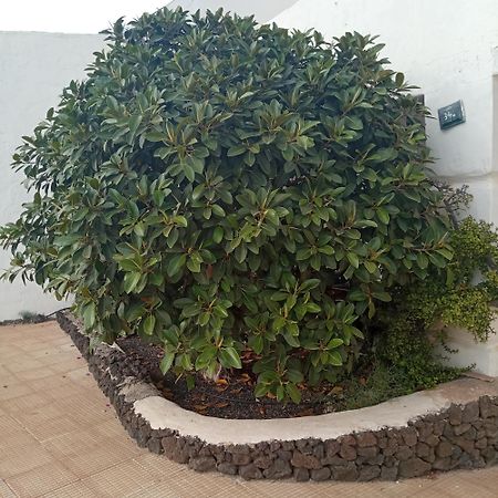 Aguas Verdes Betancuría Exterior foto